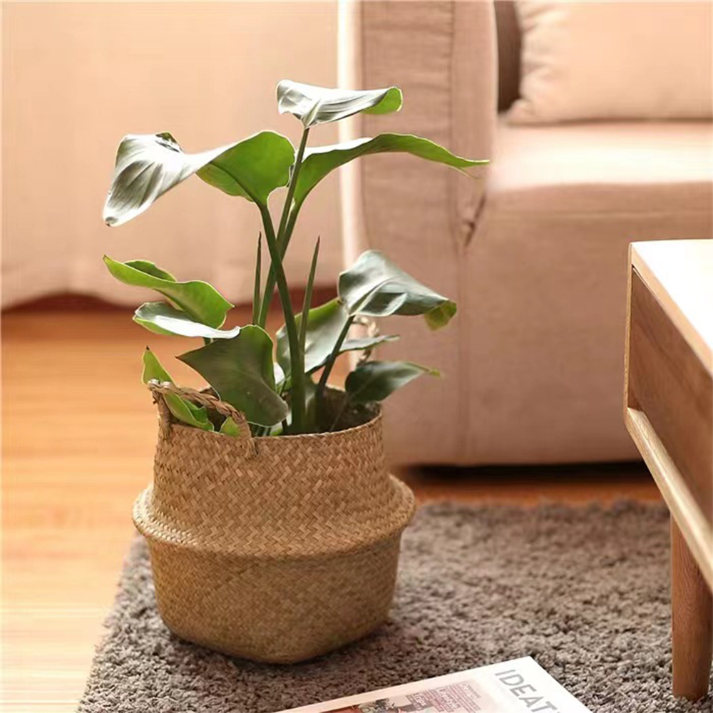 Plant Basket with Handles Wick - Basket Bag Wicker 评论和价格