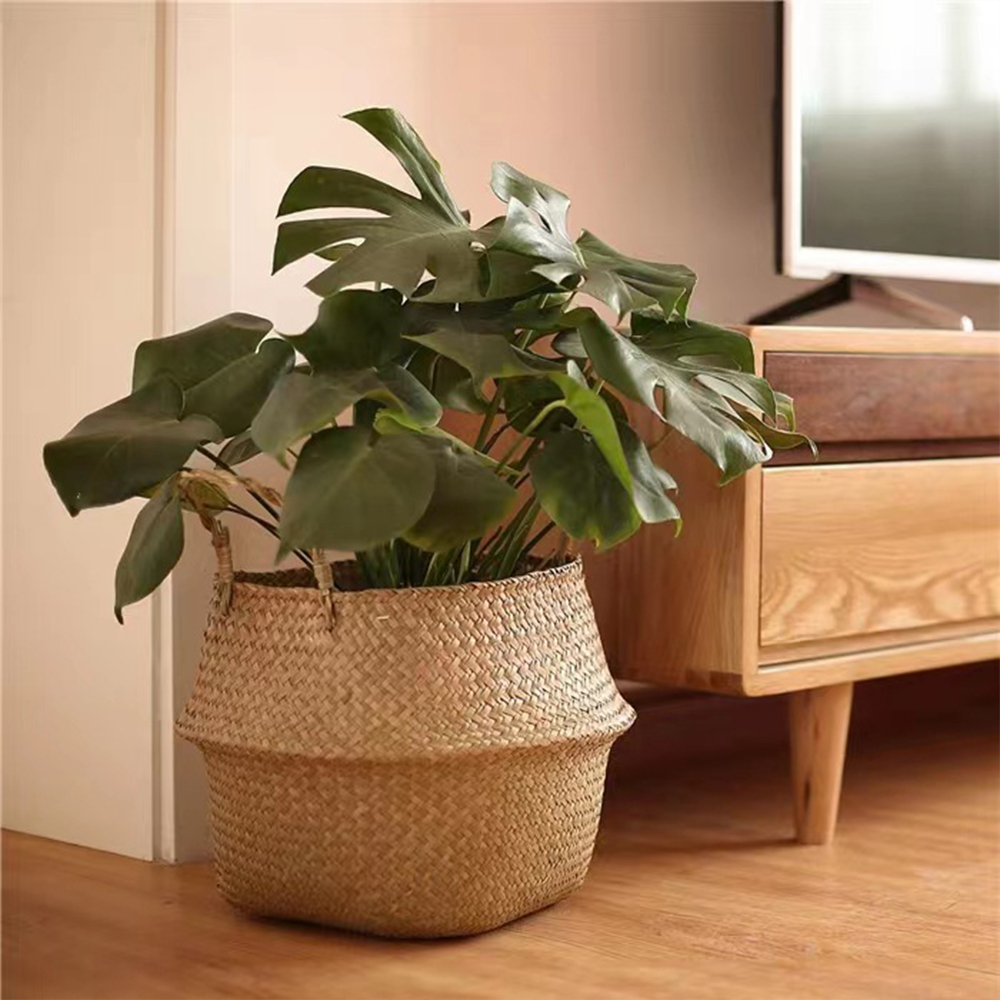 Plant Basket with Handles Wick - Basket Bag Wicker 评论和价格
